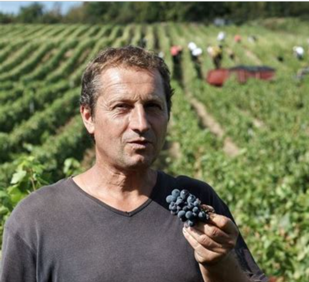 DOMAINE DECRENISSE – Fruits, jus, vins