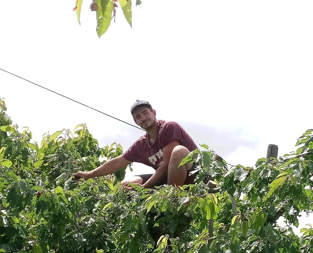 FERME DE GUILLAUME – Légumes & Fruits