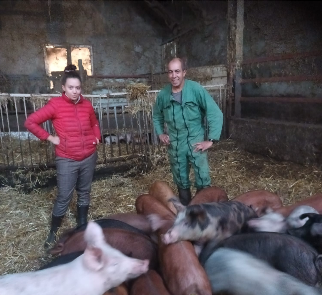 EARL DUPUIS – Porc et veau